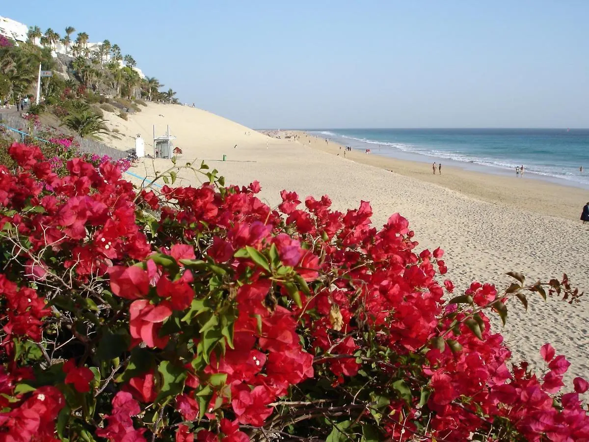 Apartamento - Oasis Morro Jable  Apartment Morro Jable (Fuerteventura)